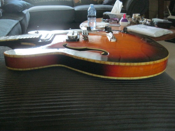 hoyer 12 string guitar
