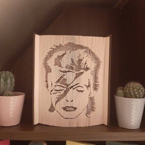 Może przedstawiać: Rzeźba z książki przedstawiająca twarz osoby, wykonana poprzez złożenie stron książki. Rzeźba jest wystawiona na półce z dwoma małymi kaktusami w doniczkach.