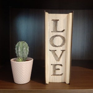 Puede incluir: Un libro con la palabra "LOVE" plegada en las páginas. El libro está de pie sobre un estante de madera con una pequeña planta de cactus en una maceta blanca delante de él.