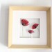 Real Poppies Wall Art | Red poppies field | Real flowers frame | Unique Wall Art | Original Botanical Art | Wall Poppies Terrarium