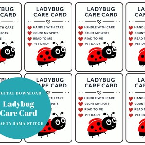 Cartes d'entretien coccinelle, carte d'entretien, soin coccinelle, carte d'entretien doudou, carte d'entretien au crochet, carte d'entretien au crochet, doudou au crochet, carte d'entretien au crochet coccinelle