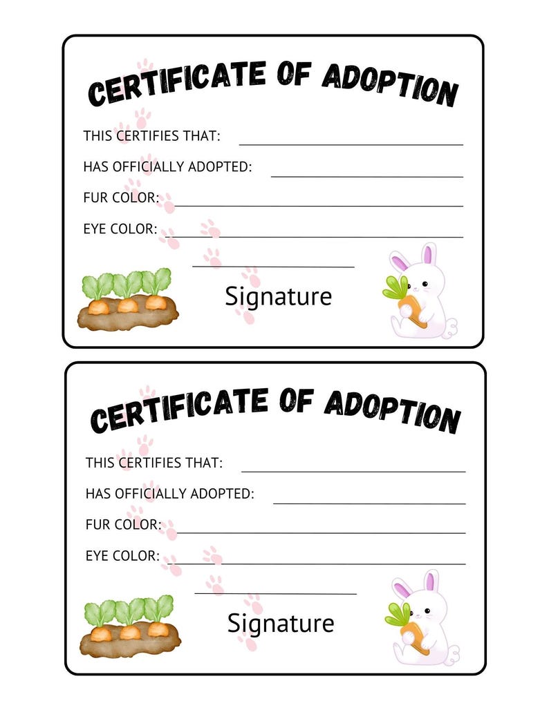 Bunny Adoption Certificate, Adoption Certificate, Certificate, Plushie ...