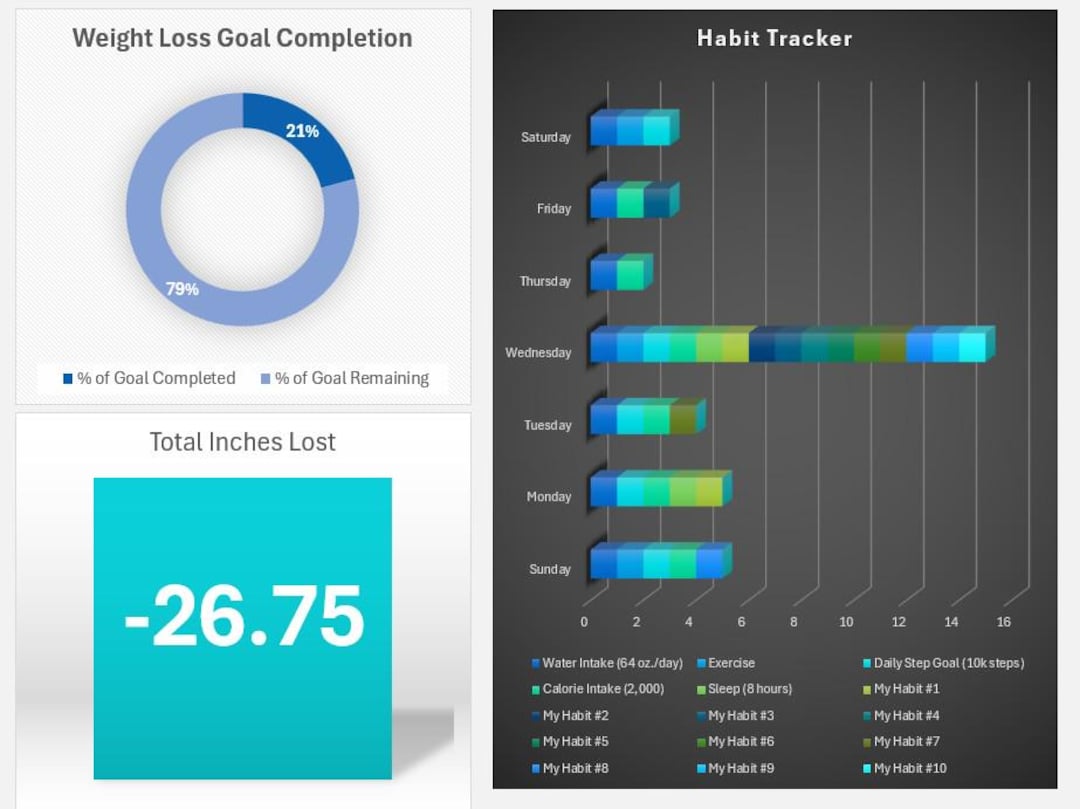 Weight Loss Tracker Excel | Body Measurement, Habit Progress ...