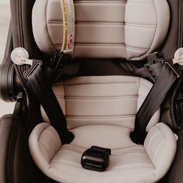 Abdl Car Seat Etsy