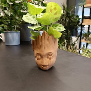 Puede incluir: Un macetero de cerámica marrón con forma de cabeza de un personaje ficticio, Groot, de la franquicia Guardianes de la Galaxia. El macetero está lleno de una planta verde de hojas.