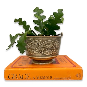 May include: A brass planter with a dragon design, featuring a green succulent plant inside. The planter is sitting on top of a book titled "GRACE A MEMOIR" by Grace Coddington.