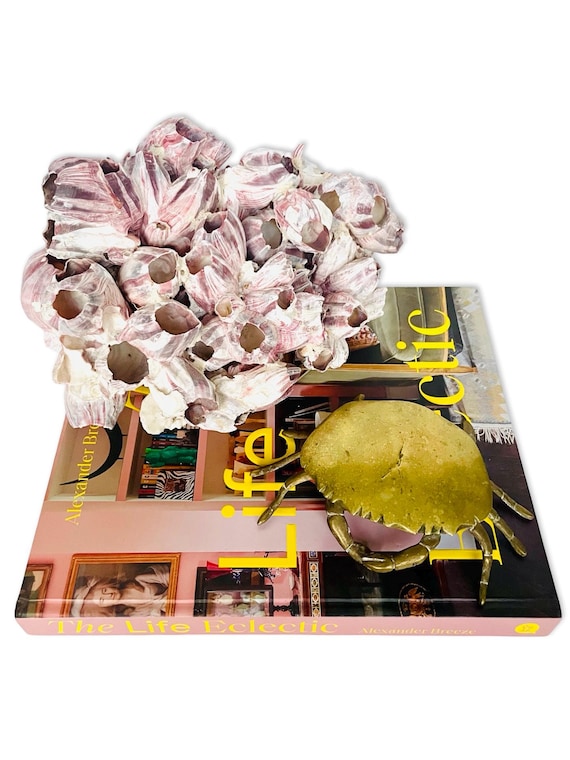 Vintage Brass Crab Ashtray / Hinged Trinket Box