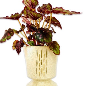 Vintage Mid-Century Neutral Beige and Gold McCoy Pottery Vase / Planter