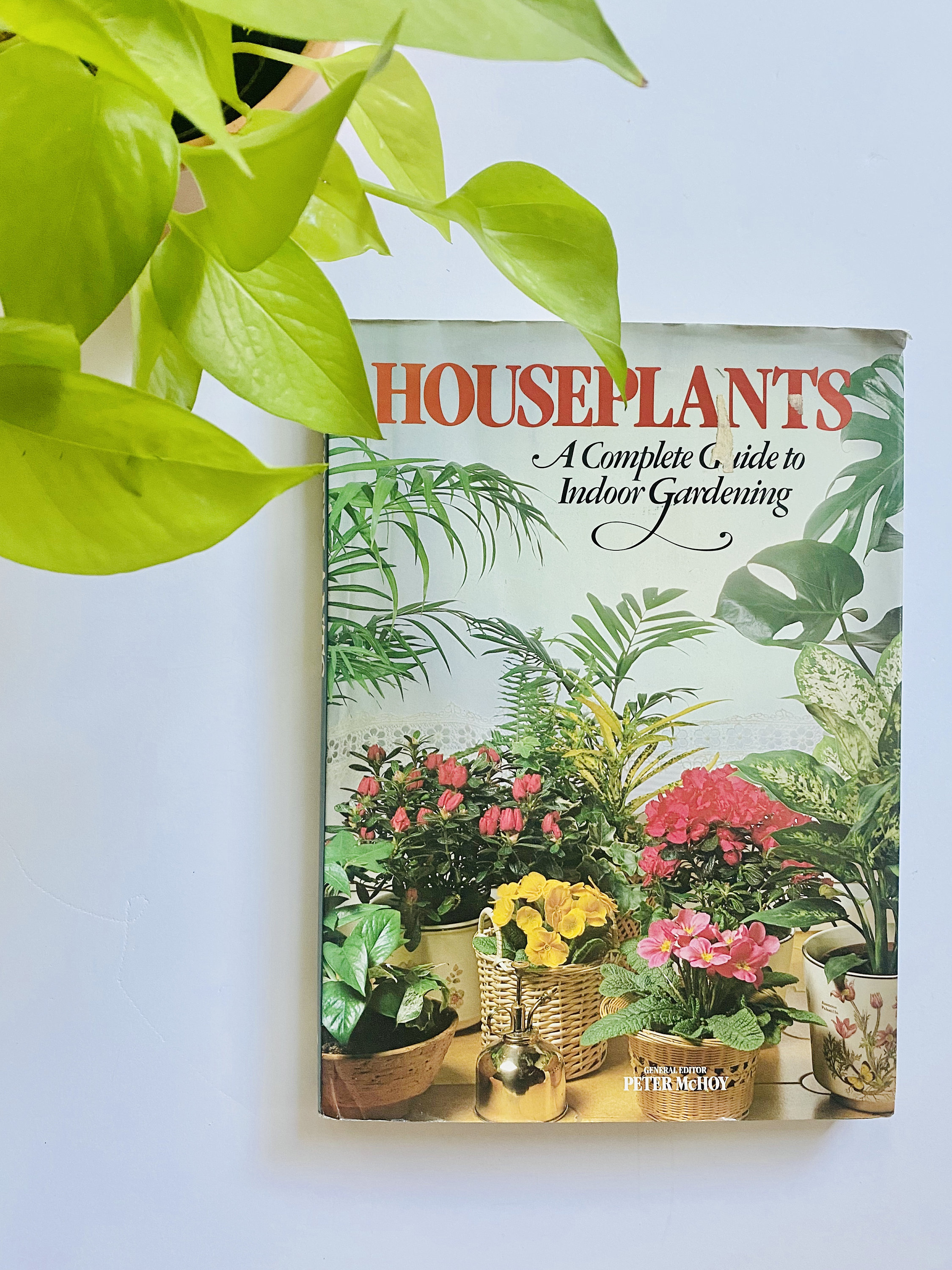 Houseplants A Complete Guide to Indoor Gardening Vintage Hardcover