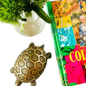 May include: A brass-toned metal turtle figurine with a textured hexagonal shell pattern, a clear glass vase containing green foliage, and a hardcover book titled Color of Happiness featuring a colorful collage cover and a person in glasses.