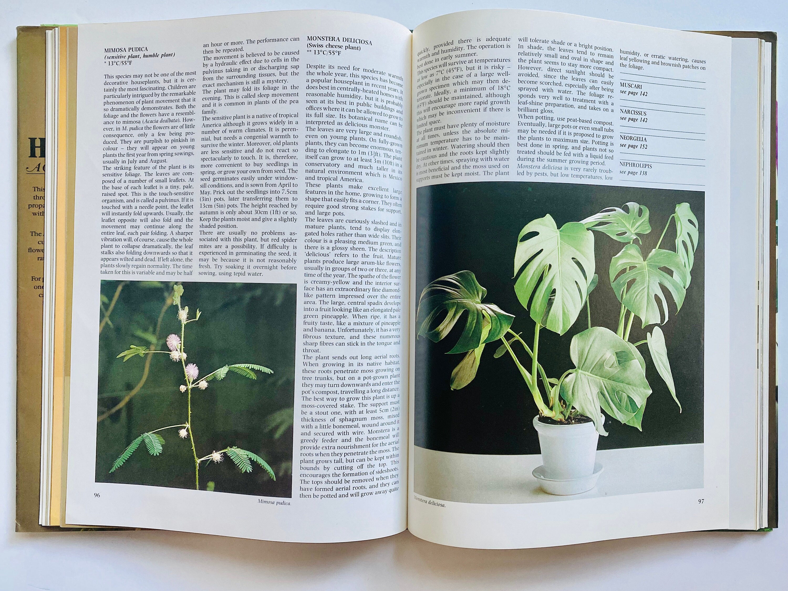 Houseplants A Complete Guide to Indoor Gardening Vintage Hardcover