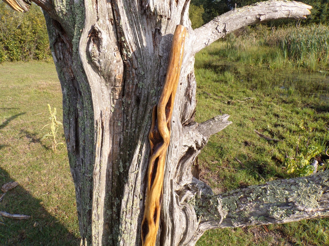 48 Inch Authentic Diamond Willow Hiking Staff Native Carving Etsy