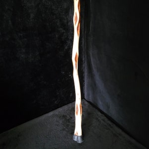 52 Inch Beautiful &quot;Double Toed&quot; Diamond Willow Hiking Staff -  Ojibwe/Anishinaabe Carved - Free Shipping