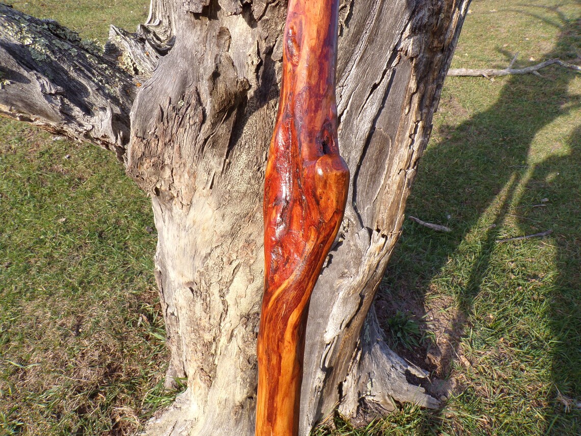 66 Inch Classic Diamond Willow Hiking Staff Etsy