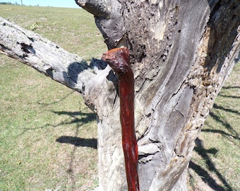 41 Inch Diamond Willow Hiking Staff - Indigenous Carving