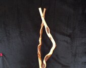 57 Inch Open Top Diamond Willow Staff - Indigenous Made