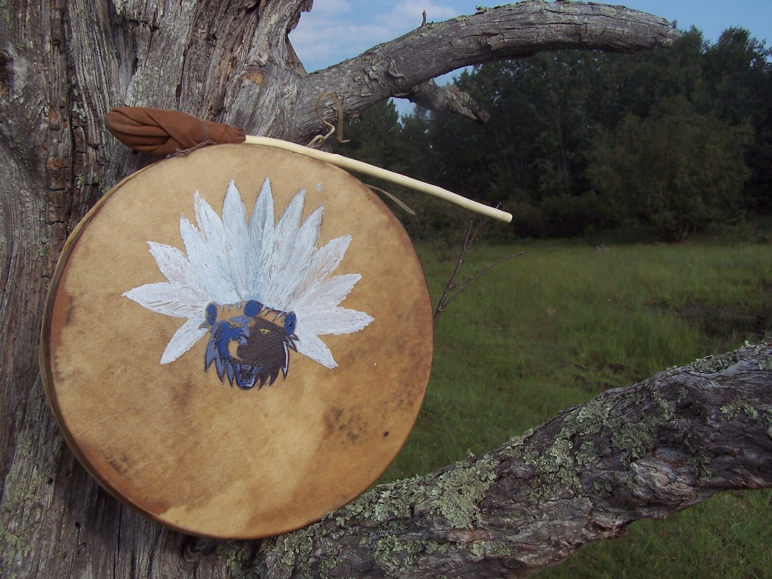 Authentic Buffalo hide hand drum 12 1/2 inches diameter Etsy