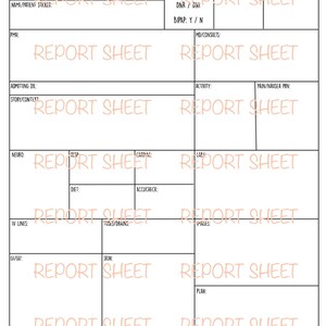RN report sheet - med/surg