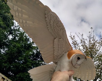 Hand carved wood barn owl, with paper feathered wings and tail.