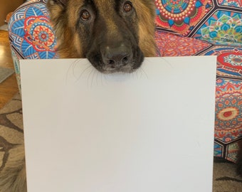 Custom Pet Memorial Painting by Schultz