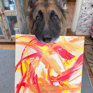 May include: A square canvas with abstract art in shades of red, orange, and yellow. A German Shepherd dog is looking over the top of the canvas. The artwork features bold brushstrokes and a vibrant color palette.