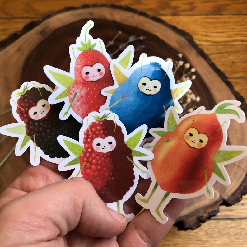 Pu&ograve; includere: Quattro adesivi di frutta colorati con facce carine e ali. Gli adesivi mostrano una fragola rossa, un mirtillo blu, una mora nera e una pesca.