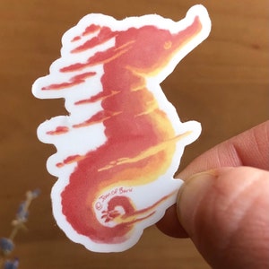 May include: A red and yellow watercolor illustration of a seahorse with the artist's signature "Joan of Barie" in the lower right corner.