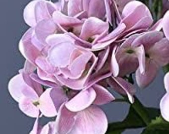 5 Head Silk Hydrangea Artificial Flower Bridal Bouquet Wedding Decor UK Stock