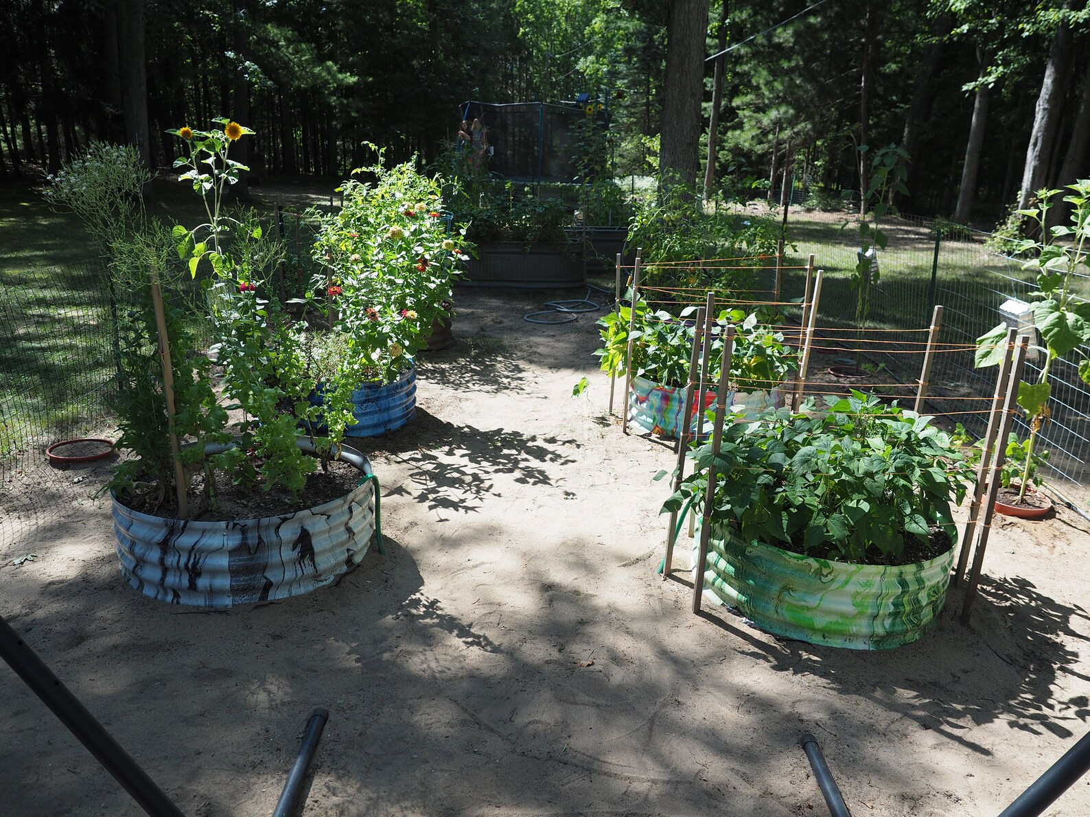 Custom Raised Garden Rings Metal Raised Garden Bed Metal Etsy