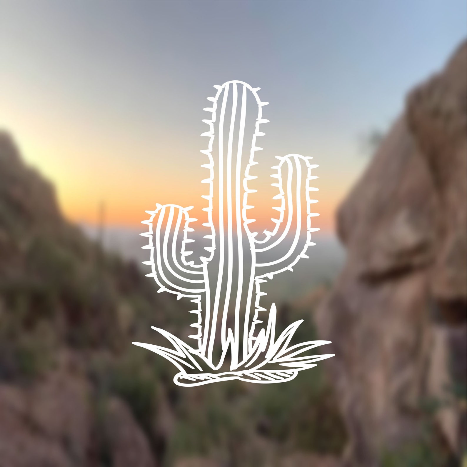 SAGUARO CACTUS Vinyl Decal Sticker Adventure Decal Nature Etsy