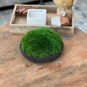 Lg. White Artisan Bowl of Mood Moss – AvaGray