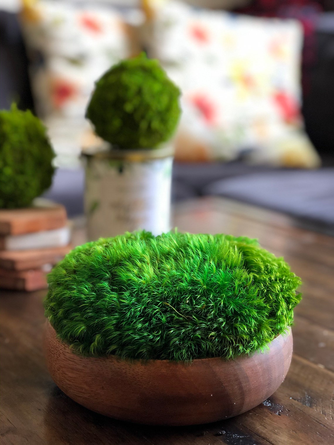 Moss Centerpiece in Real Wood Round Bowl Mood Moss Natural Etsy
