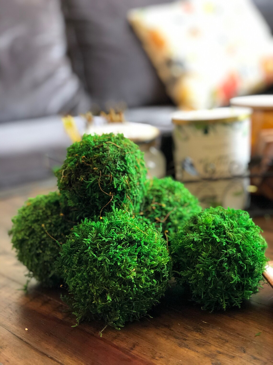 Moss Balls or Centerpiece Bulk Priced Home Design 35 inches Etsy