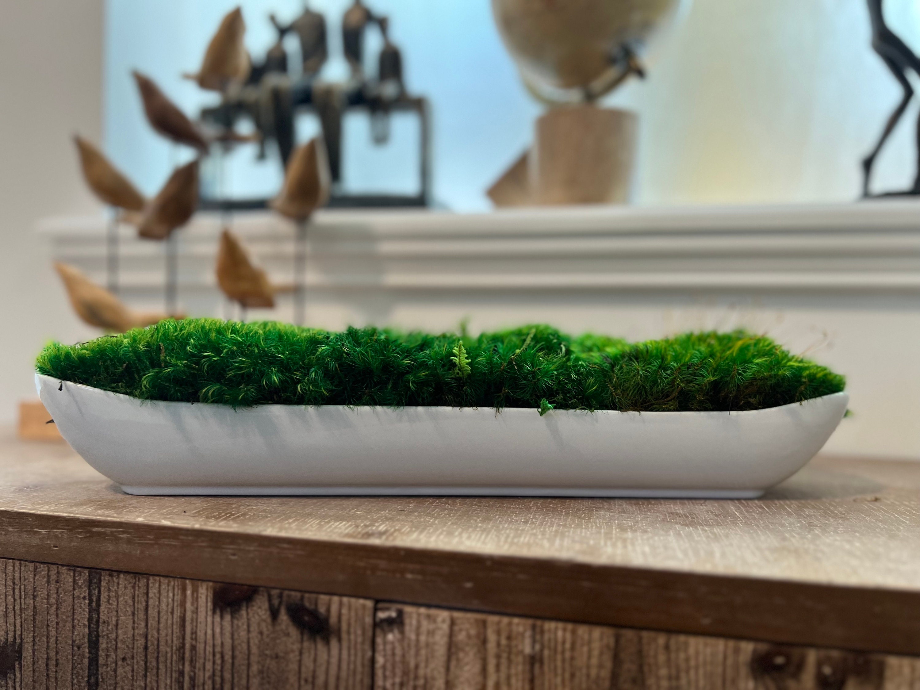 Kinsale Moss Centerpiece - Wishbone Home & Design