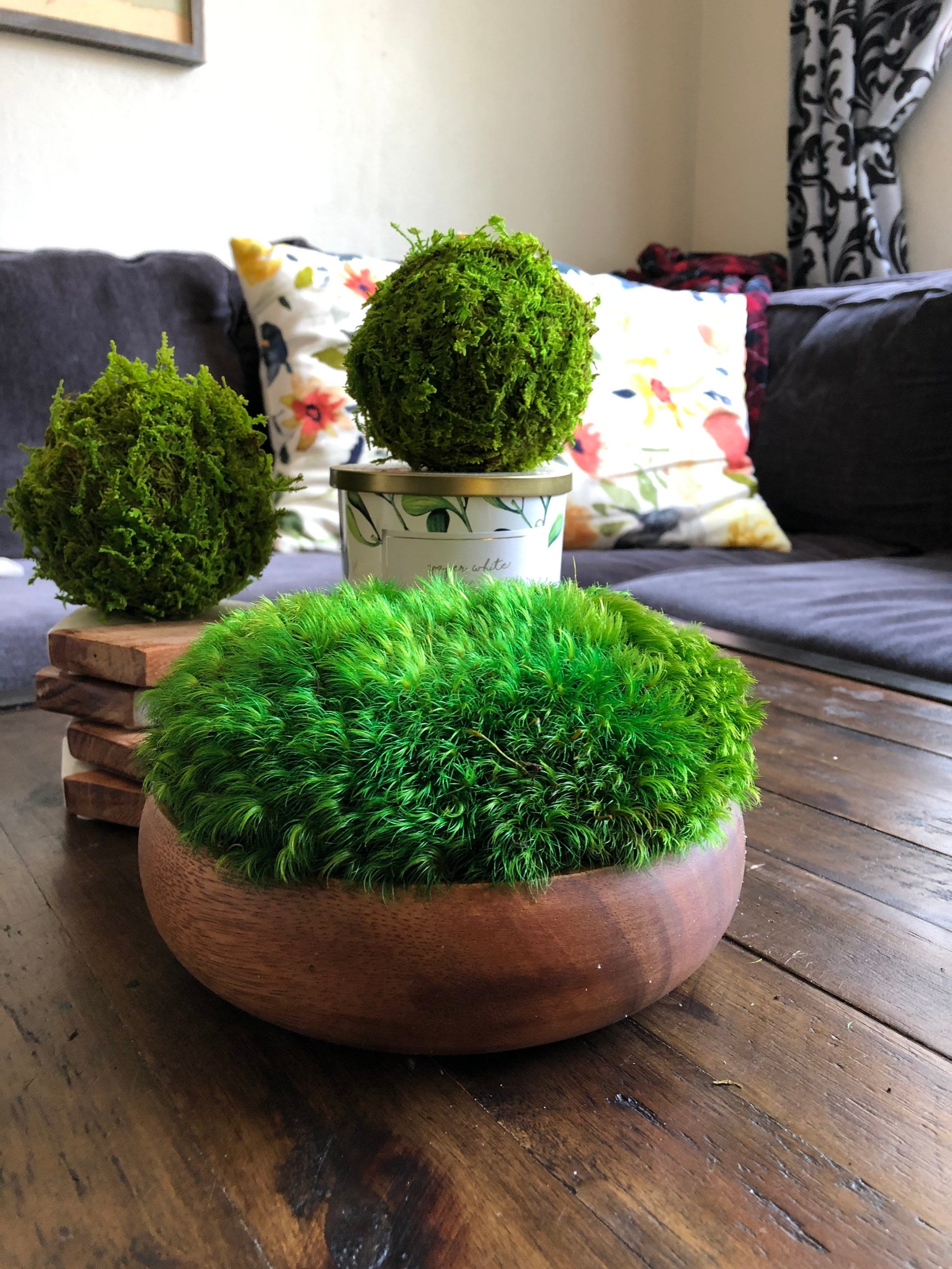 Moss Bowl Arrangement for Table Large Moss Centerpiece for Dining