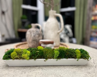 May include: A white ceramic planter with a wavy edge filled with green moss. The planter is sitting on a light gray textured surface.