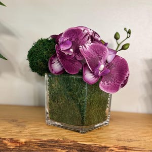 May include: A small glass vase filled with green moss and topped with a cluster of purple orchids.