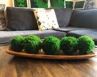 Enchanted Forest Mood Moss Bowl – Moss Acres