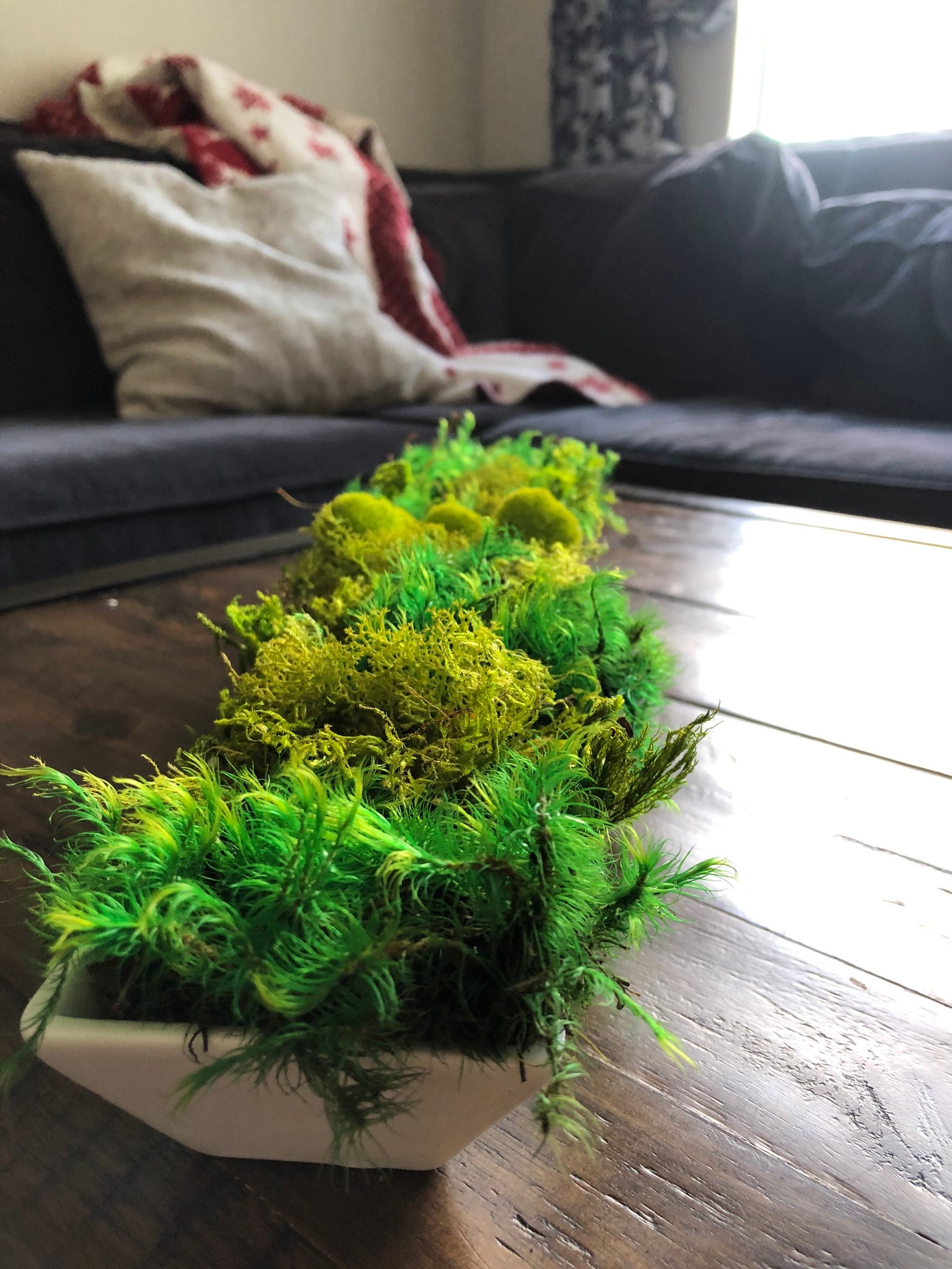 Mixed Moss Table Centerpiece in Modern White 15 Long Ceramic Etsy