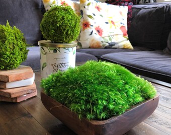 Preserved Mood Moss Centerpiece: Real Wood Bowl, Maintenance Free