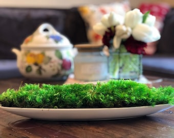 May include: A white ceramic dish filled with green moss. The dish is sitting on a wooden table. There is a white ceramic teapot and a glass vase with white flowers in the background.