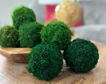 Enchanted Forest Mood Moss Bowl – Moss Acres