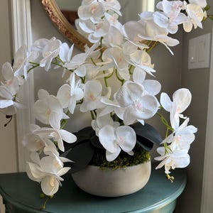 May include: A white orchid arrangement in a gray concrete-style pot. The flowers have delicate white petals with a touch of pink in the center. Dark green leaves and moss fill the pot. The arrangement sits on a teal-colored table.