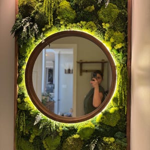 Reindeer Moss Wall Art: Zero Maintenance, Natural Home Decor - Custom Size Available