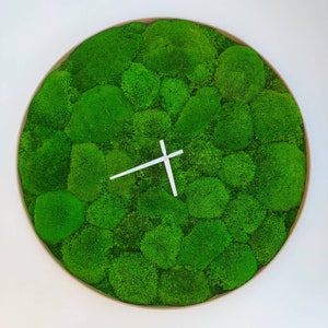 Könnte beinhalten: Eine runde Uhr mit einem grünen Moos-Zifferblatt und weißen Zeigern. Die Uhr ist aus natürlichen Materialien gefertigt und hat einen rustikalen Look.