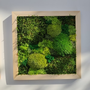 Moss wall art