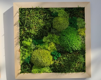 Moss wall art