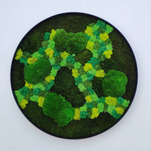 Moss Wall Art Etsy