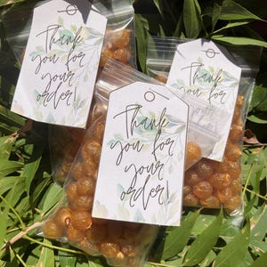 25+ Western Soapberry Seeds Shells