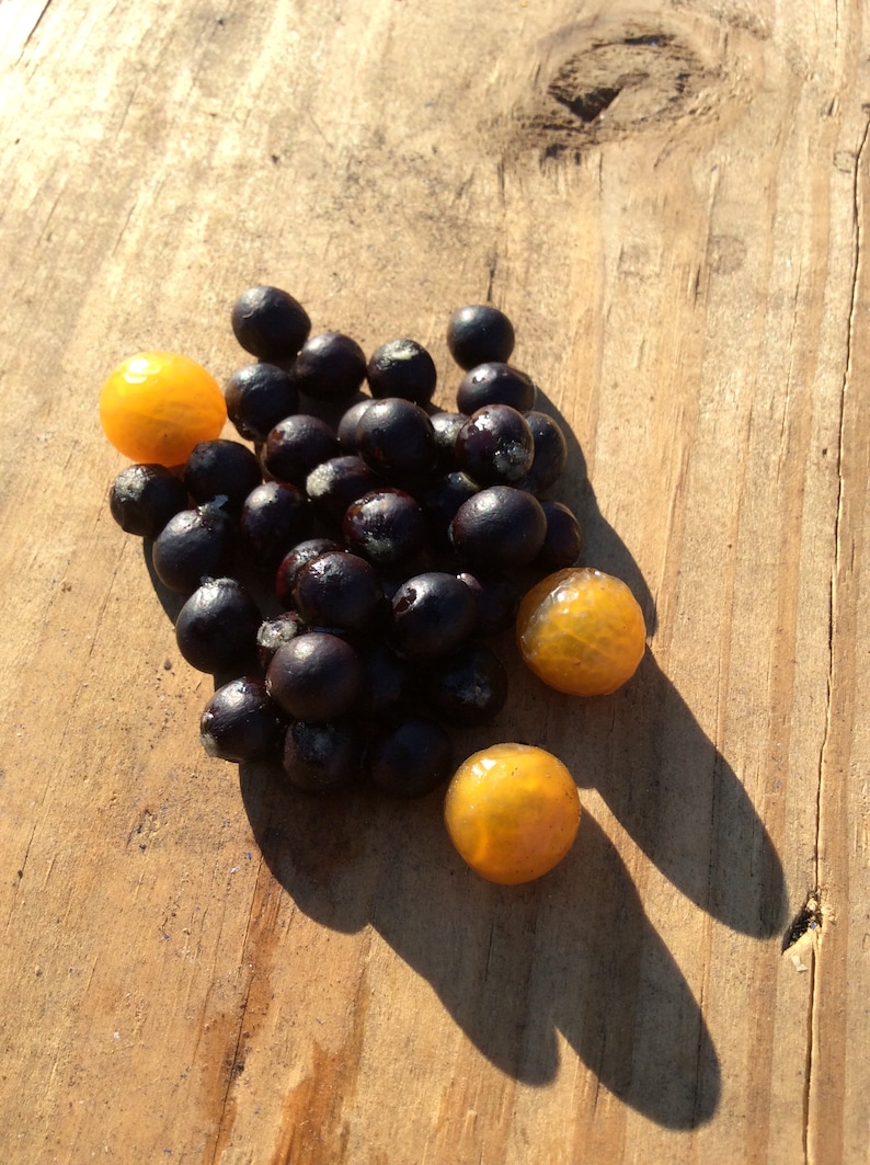 May include: A pile of small, dark purple berries with three bright yellow round fruits on a wooden surface.